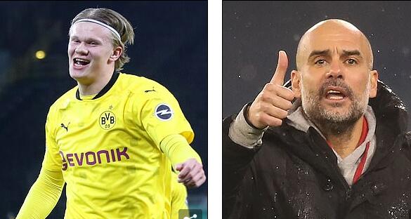 他们不爱弃 他们不爱弃